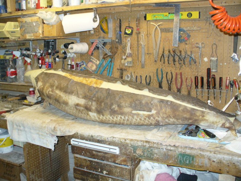 Test fitting the
                        skin