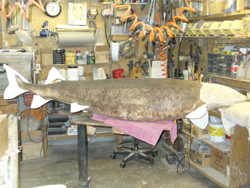 Mounted