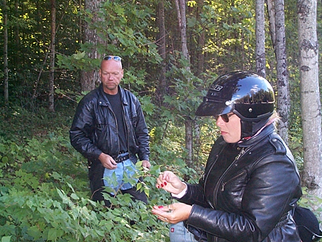 Glen & Rosalie forage for berries