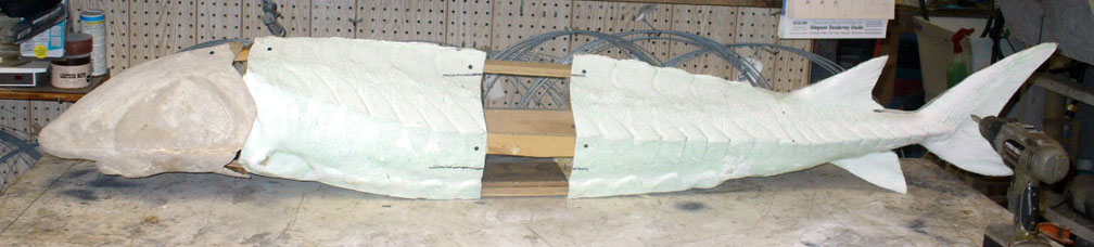 head
                                attached, body lengthened to 78"