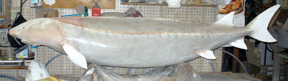 Final skin
                        applied