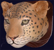 Artificial Leopard head mount