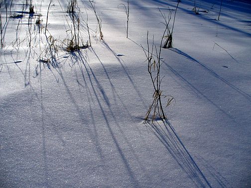 Winter's long shadows