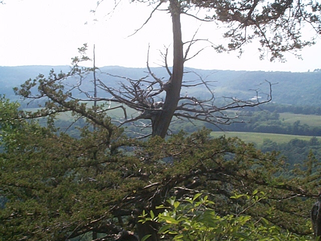 Wildcat Mountain State
                Park