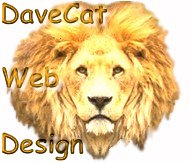 E-Mail Web Site Designer