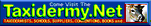 Link to Taxidermy.net